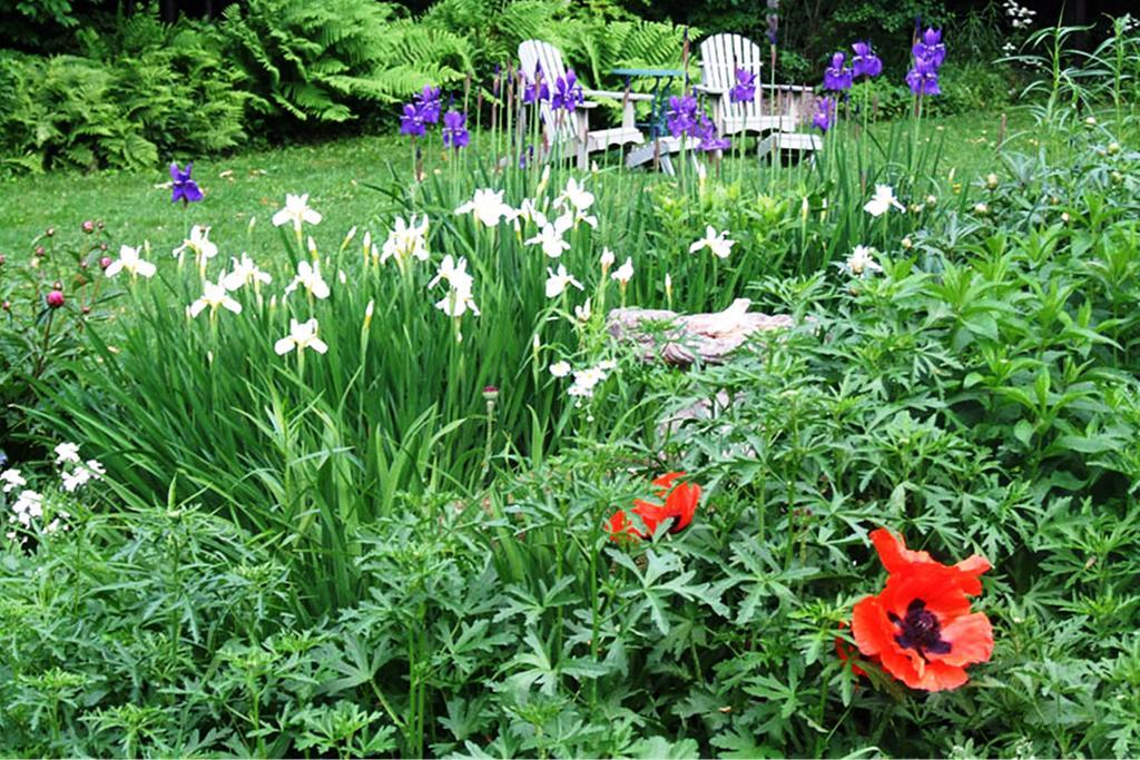 B&B Hillhouse Лак-Бром Экстерьер фото